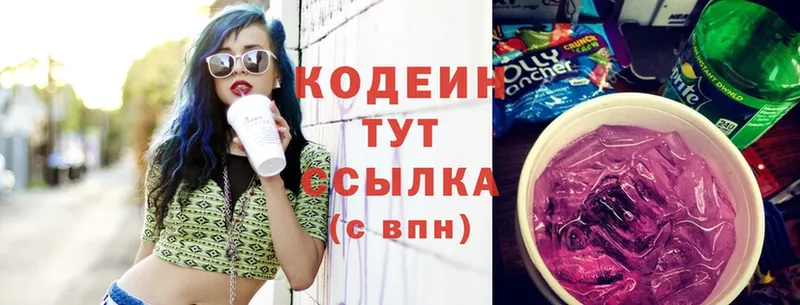 kraken как войти  Каменногорск  Codein Purple Drank 