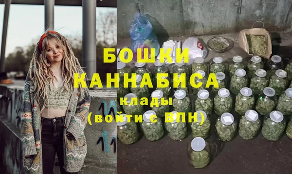 прущие грибы Михайловка