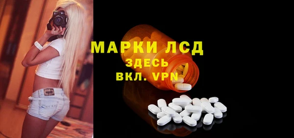 прущие грибы Михайловка