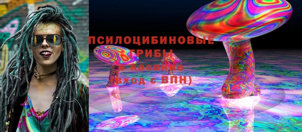 стафф Михайловск