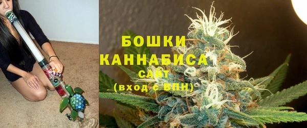 соль ск Михайлов